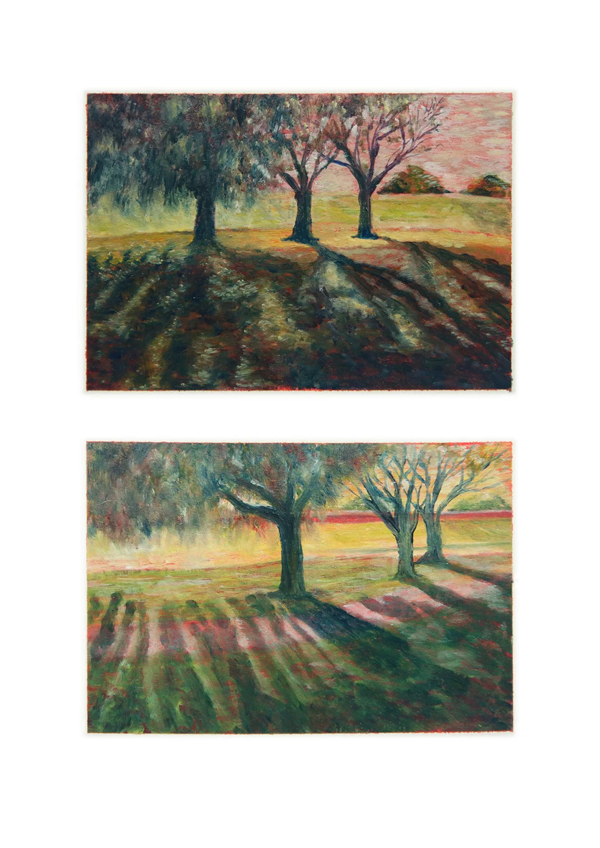 Light-in-the-shadows4_Kathy-Glentworth.jpg