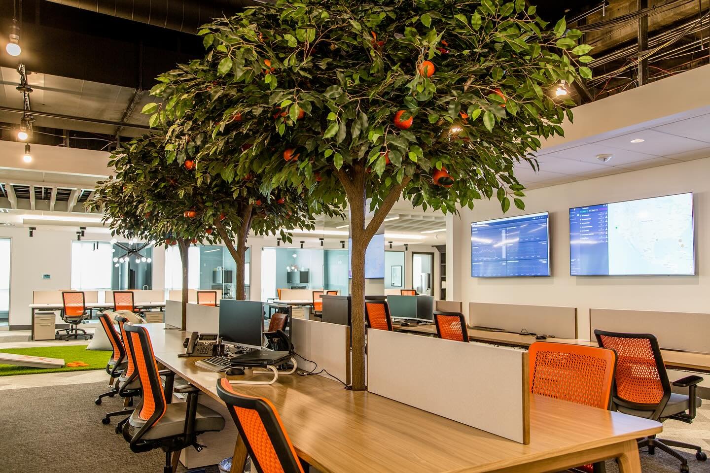 The power of #BiographicalDesign in action 🍊✨ At the Orangetheory headquarters, we brought their story to life&mdash;quite literally. These orange trees infuse the office with whimsy, wellness, and a daily dose of brand spirit. It&rsquo;s more than 