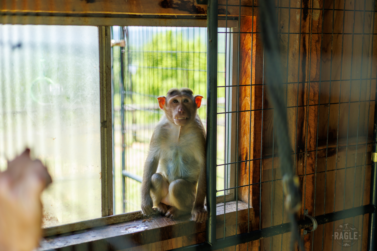 SPARTN Story-33 Large.PNG