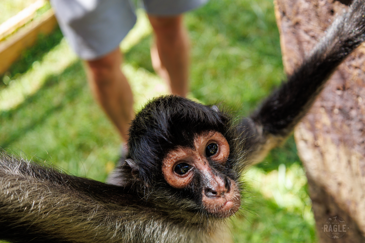 SPARTN Story-37 Large.PNG