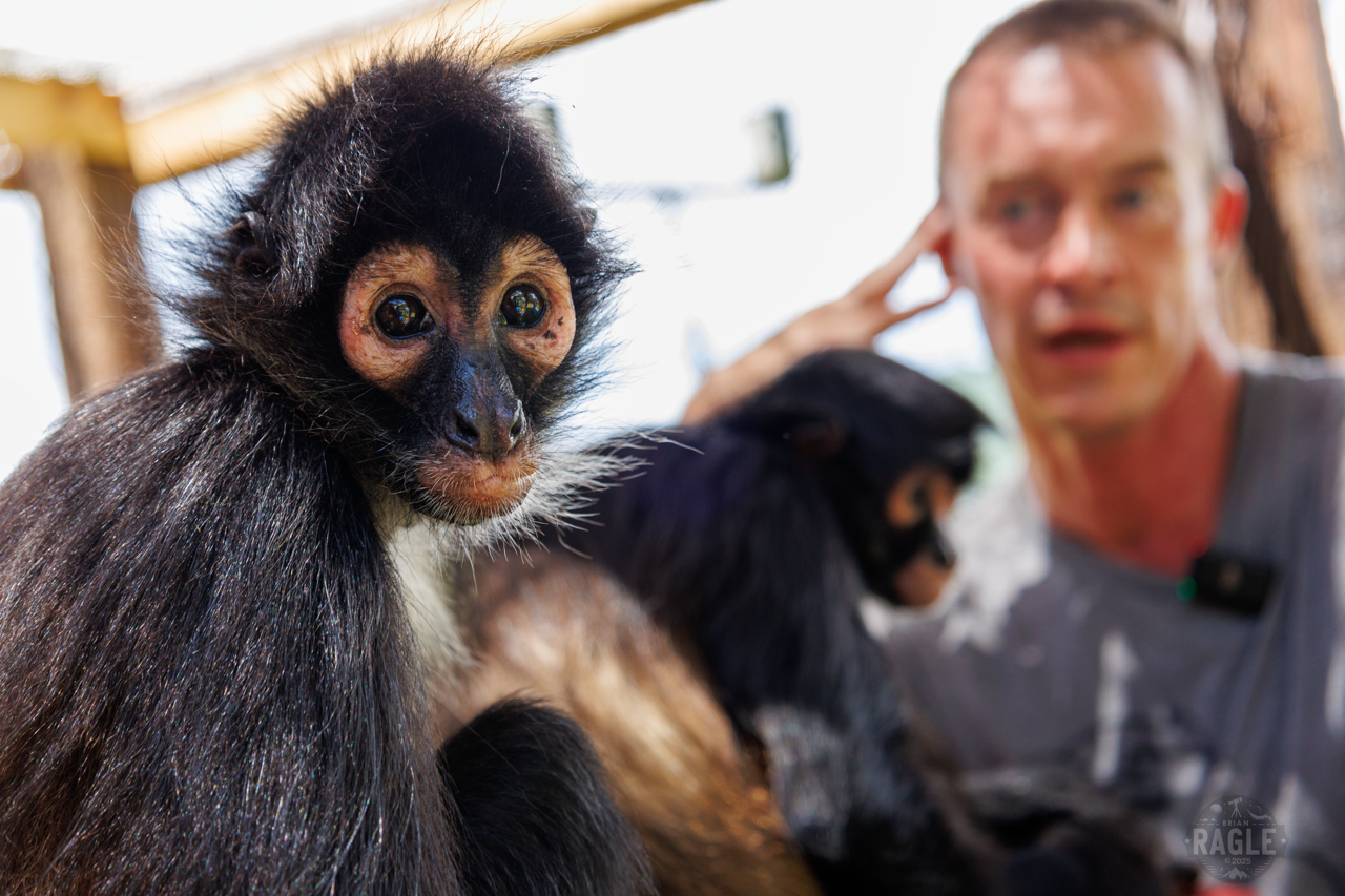 SPARTN Story-39 Large 2.PNG