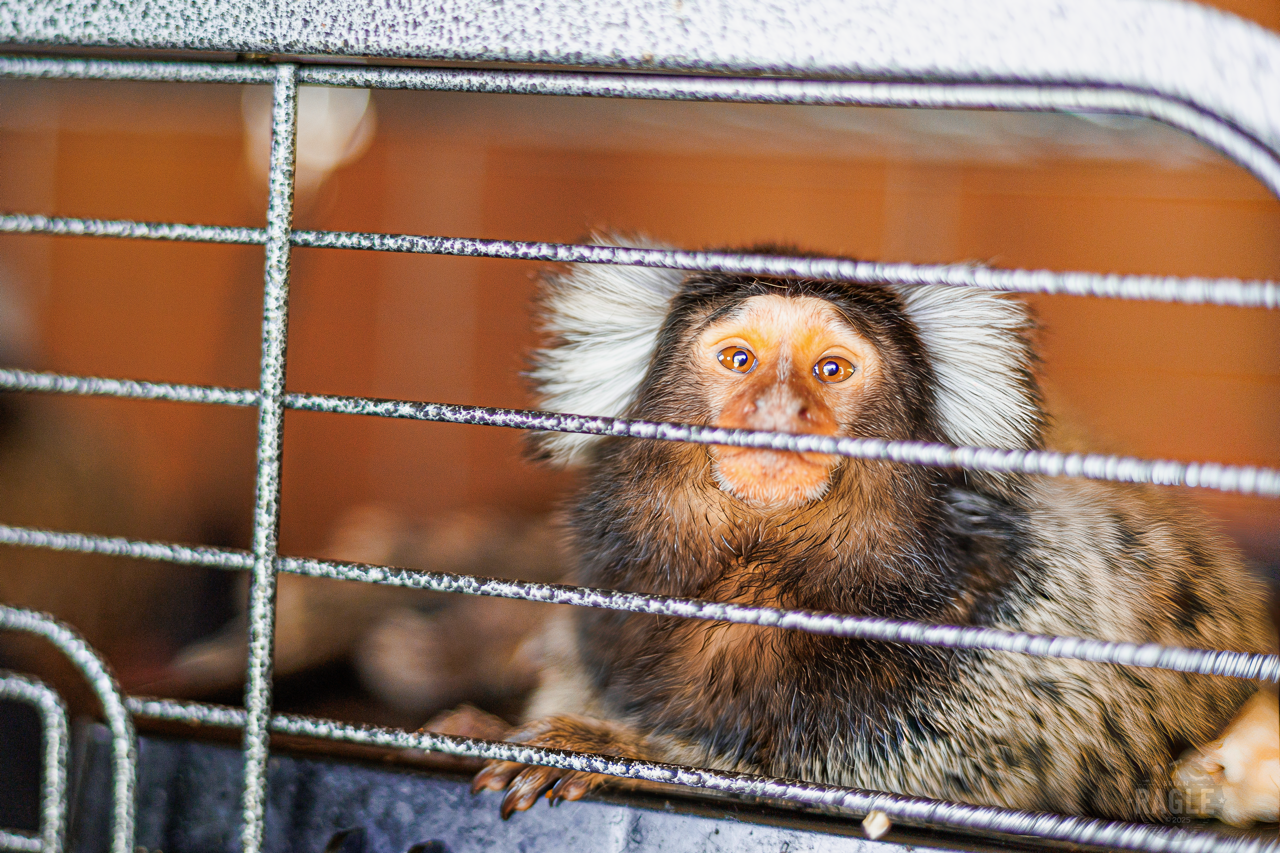 SPARTN Story-46 Large.PNG