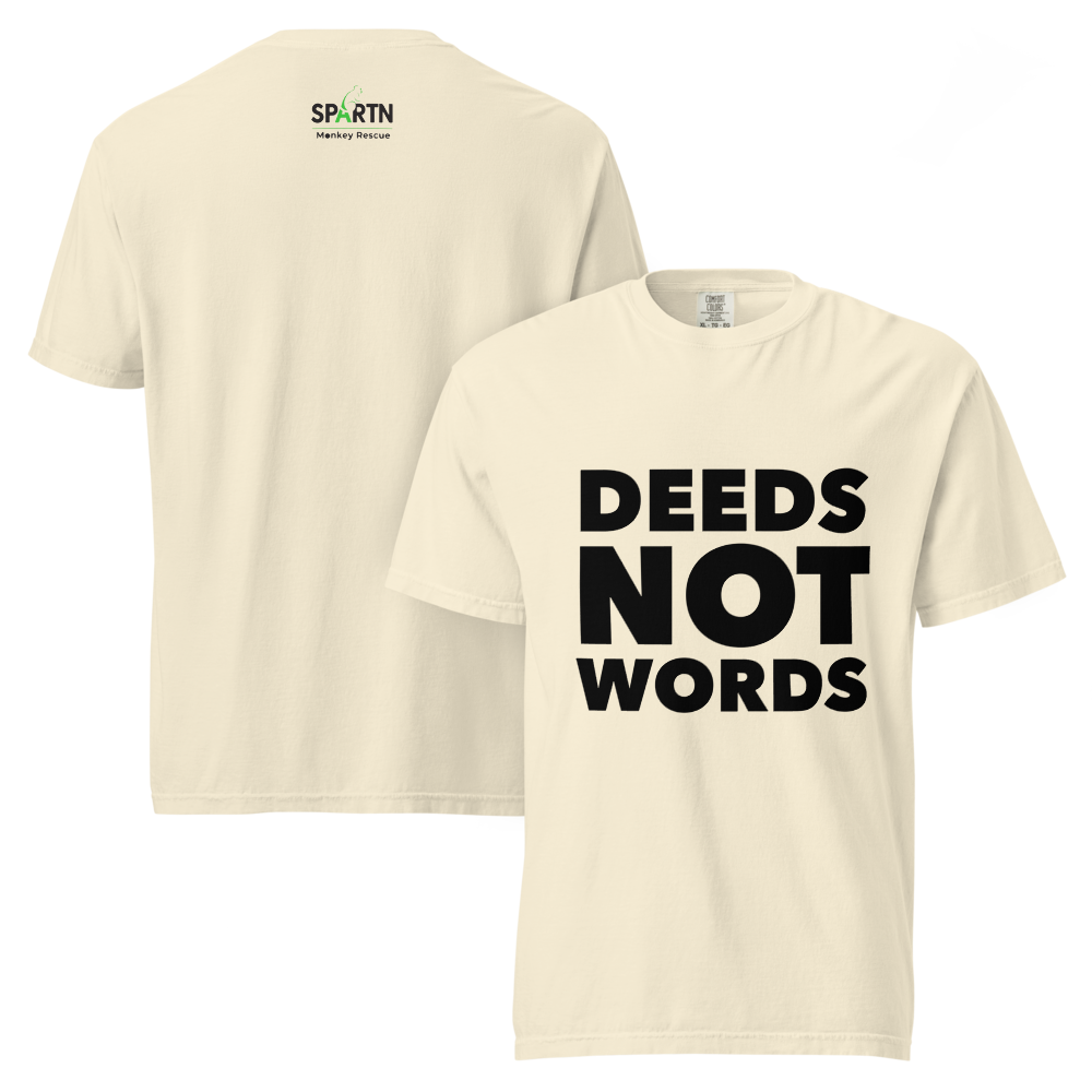 unisex-garment-dyed-heavyweight-t-shirt-ivory-front-and-back-687aad268d69b.png