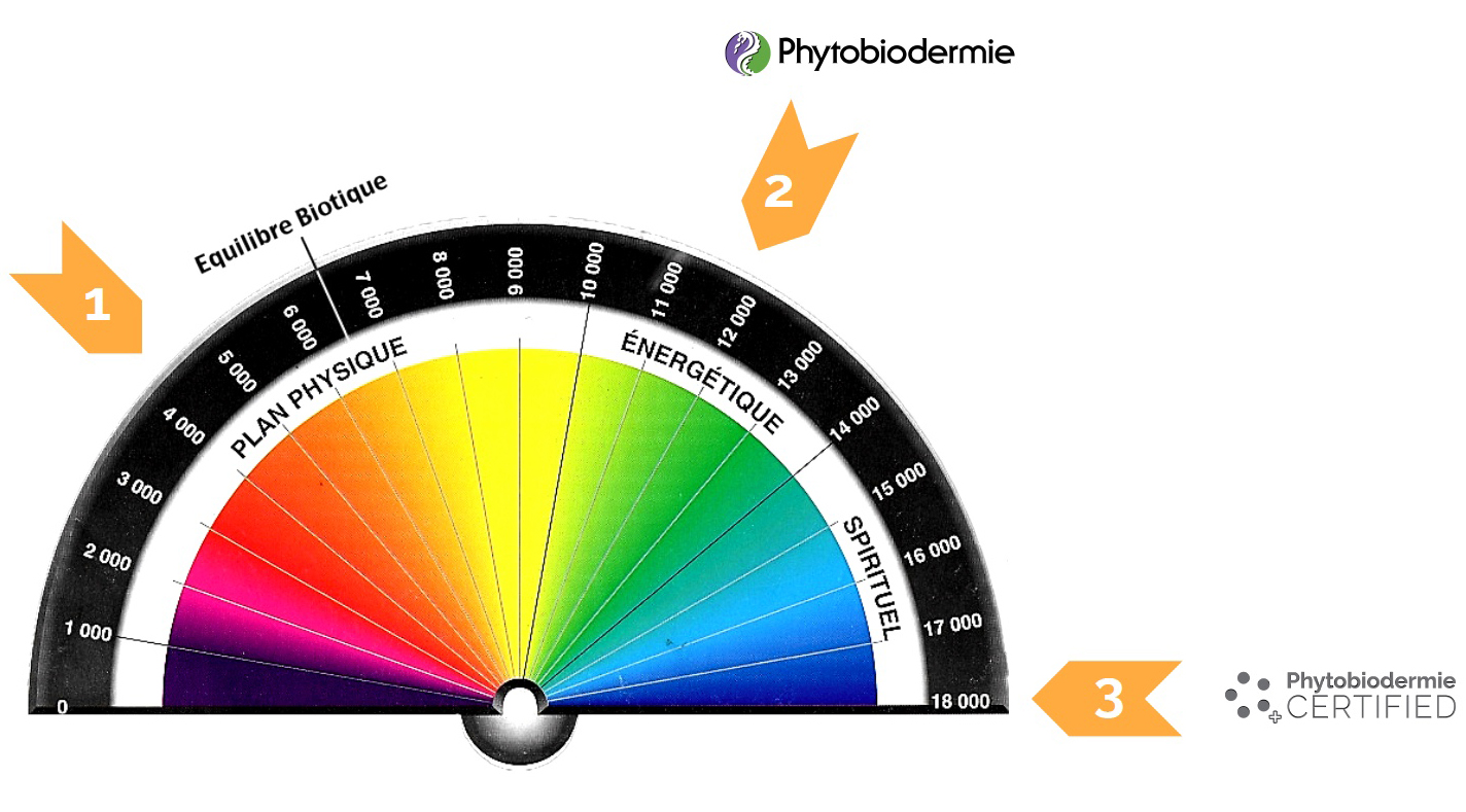 Phytobiodermie_Bovis_Scale.jpeg