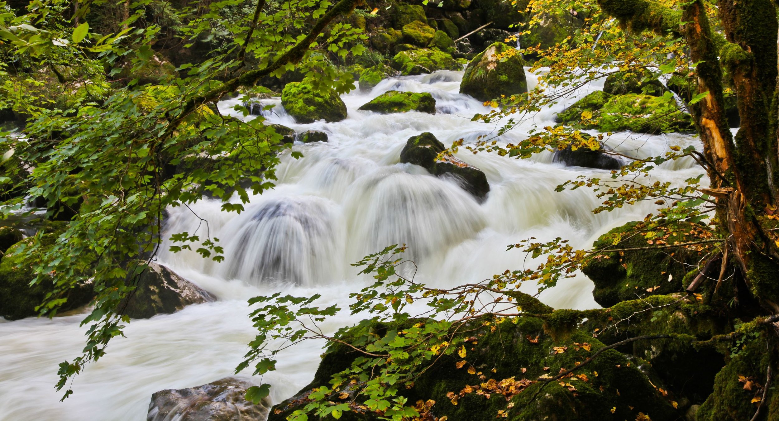 Areuse Gorge Neuchatel.jpg