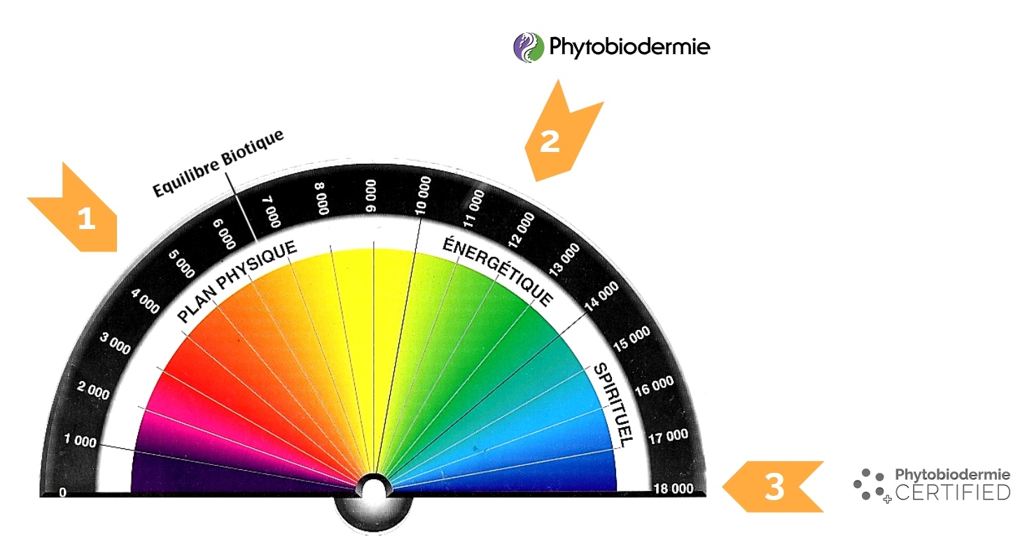 Bovis scale reading