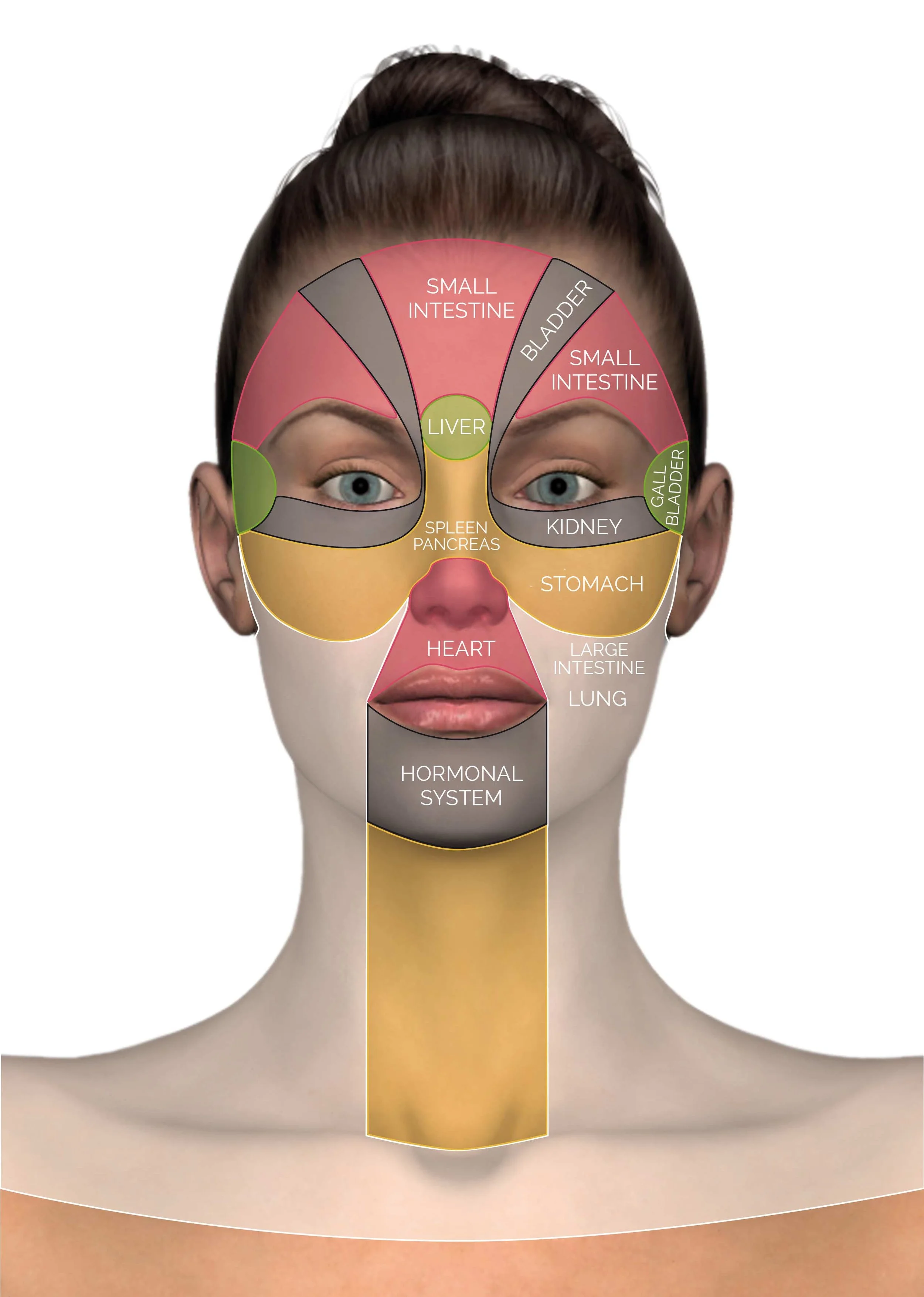 facial-reflex-zones.jpg