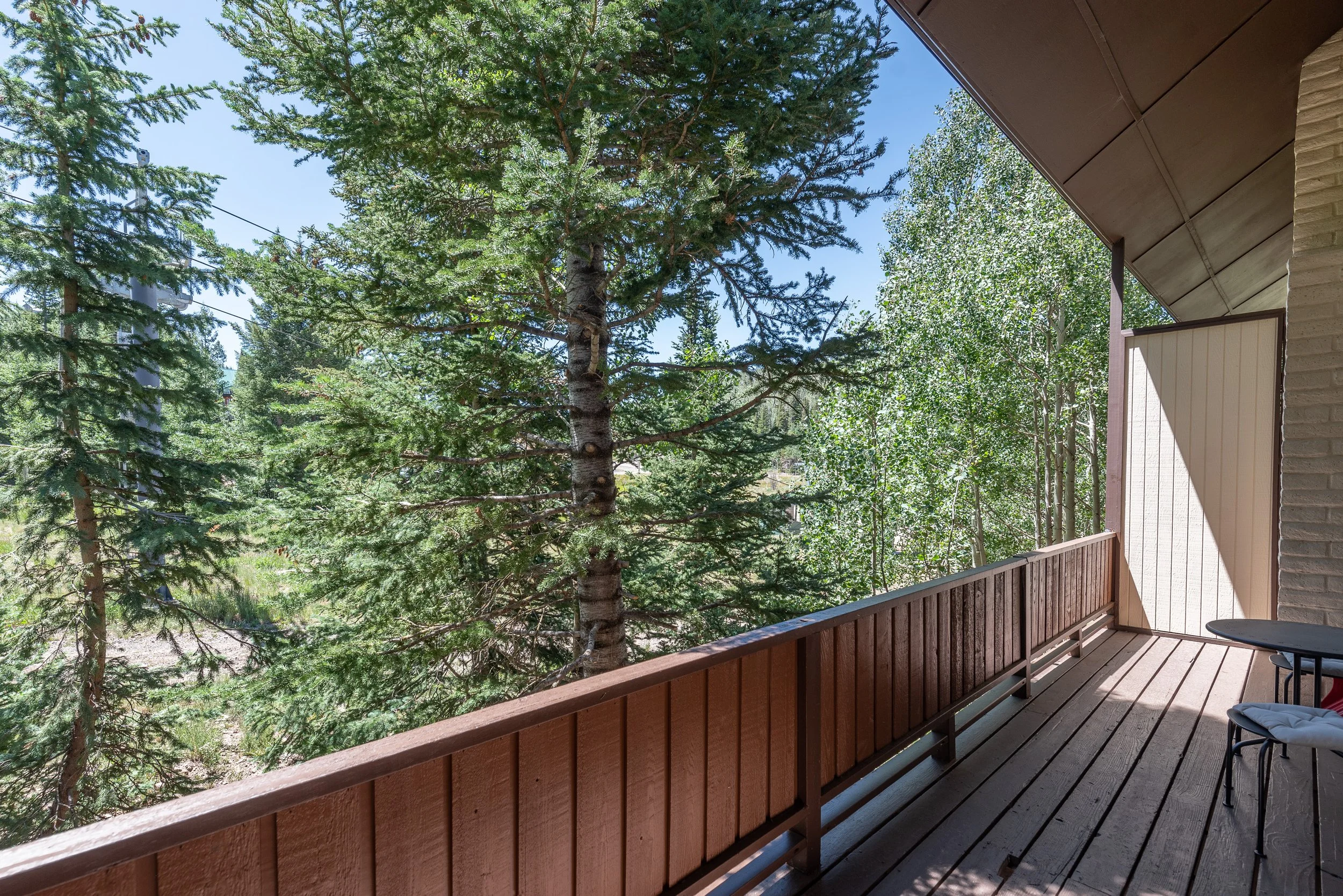 Evergreen B5 July 2025 (17 of 20).jpg
