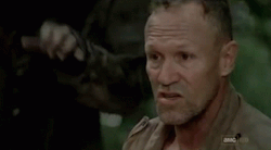8. The Walking Dead (Season 3).gif