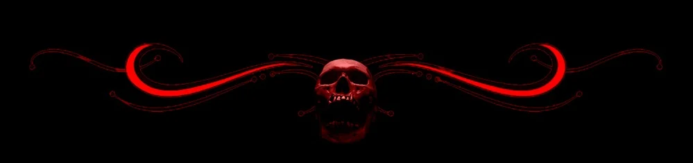 End-Skull-LWIH-SMALL-BANNERS.jpg