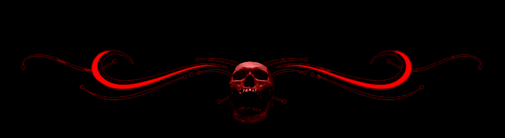 End-Skull-LWIH-SMALL-BANNERS.jpg