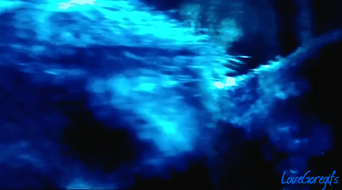 #3 Underworld_ Rise Of The Lycans.gif