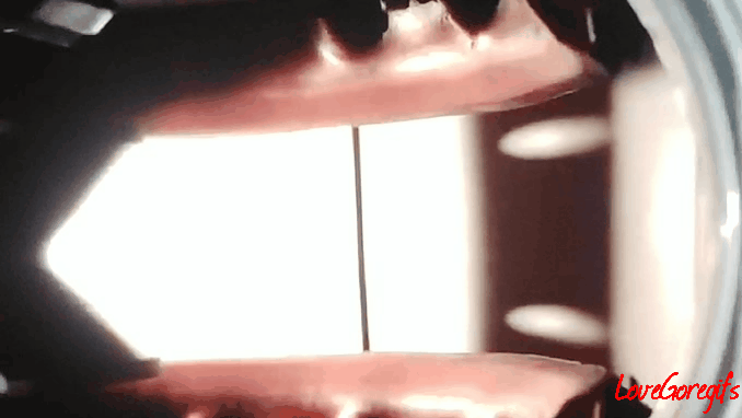 The Package.gif