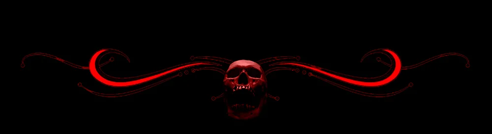 End-Skull-LWIH-SMALL-BANNERS.jpg