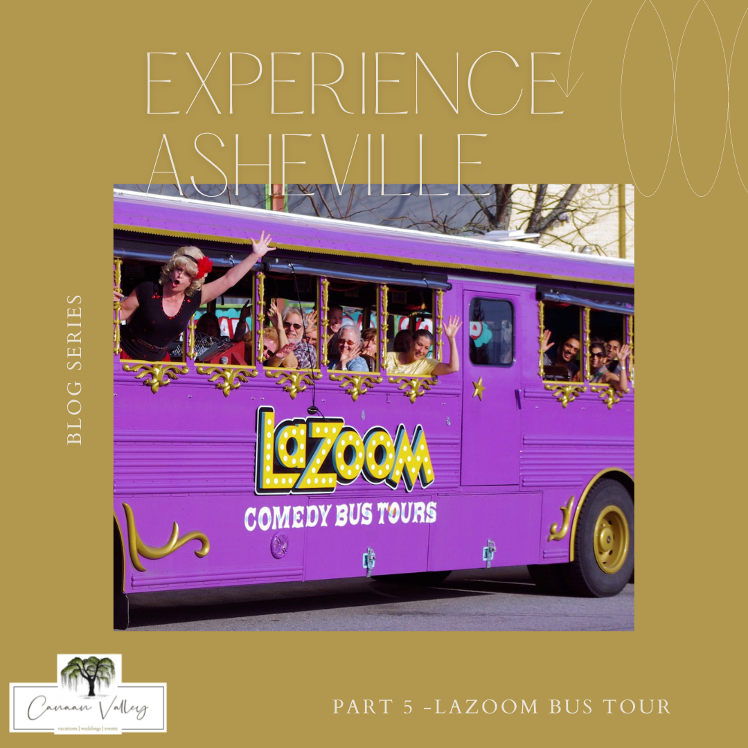lazoom tour coupon code