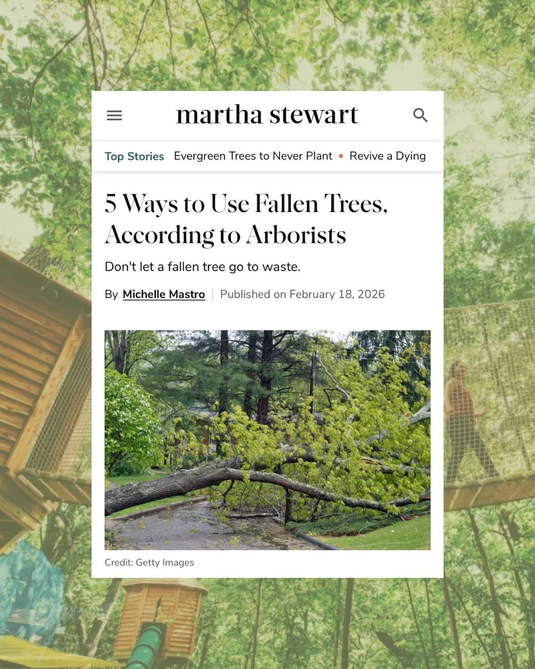The @arbordayfoundation was recently featured in @marthastewart, highlighting expert insights on sustainable tree practices. Proud to see this important work recognized nationally. 🌎