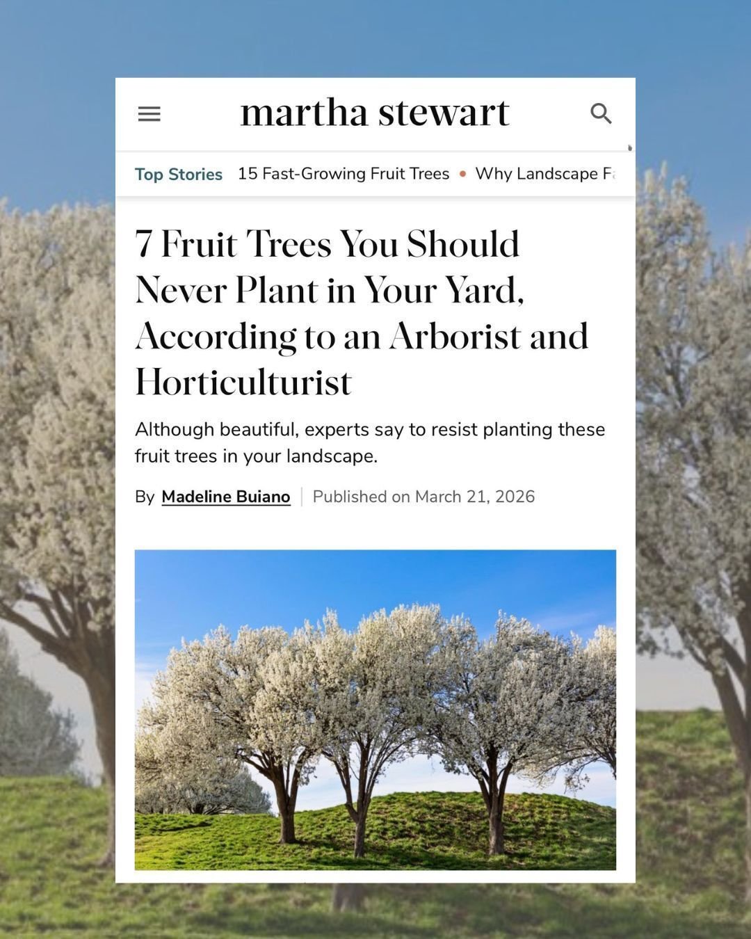 Way to go, @arbordayfarm, who was recently featured in Martha Stewart, sharing expert guidance on what to plant&mdash;and what to avoid&mdash;in your landscape.