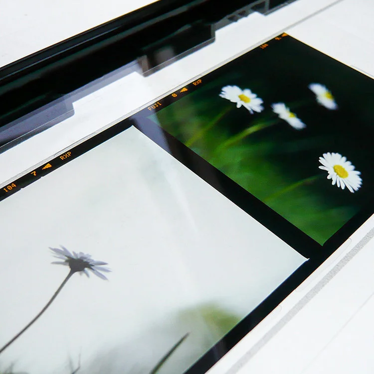 My scanning and post-processing workflow