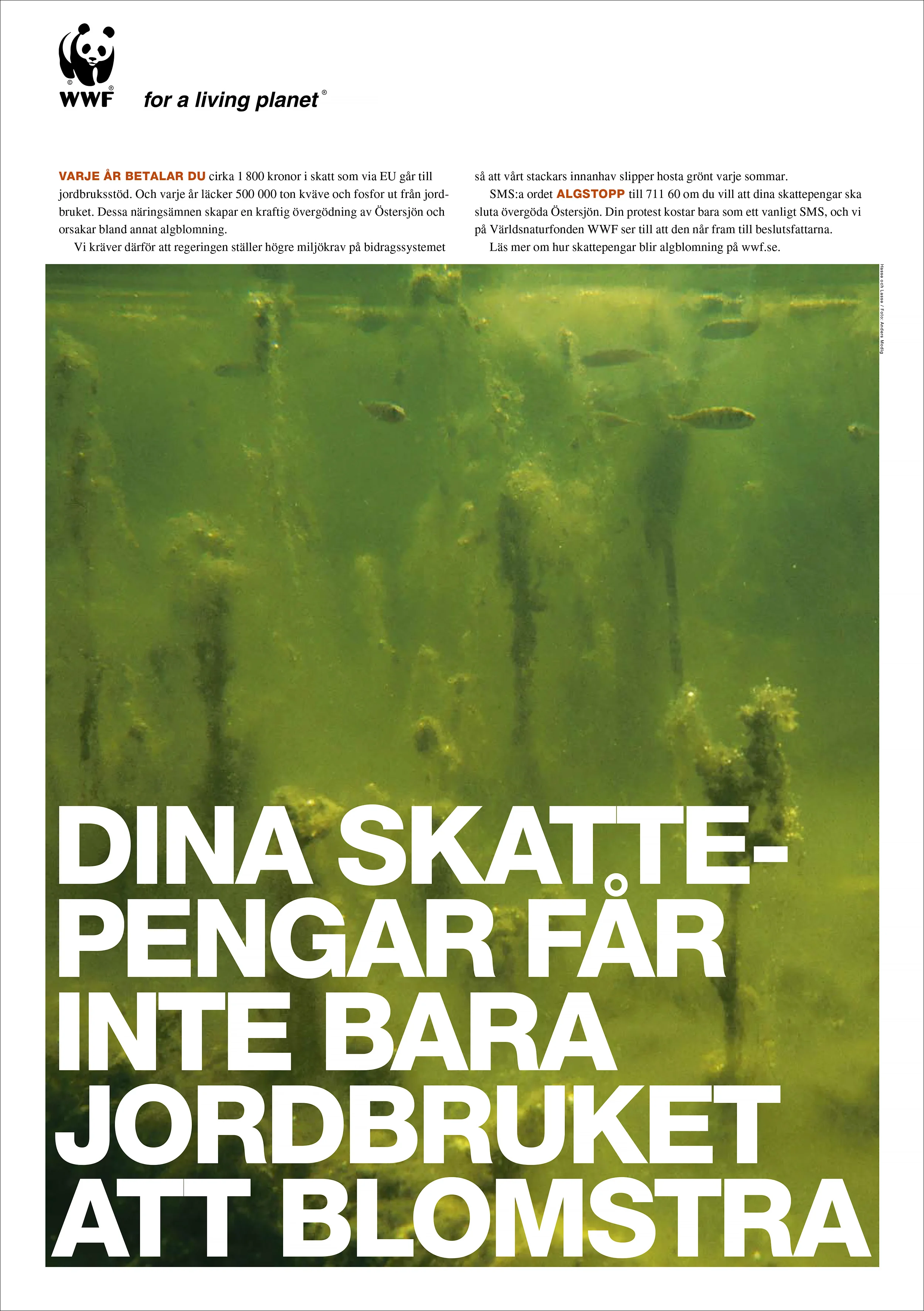 WWF | Save the Baltic Sea