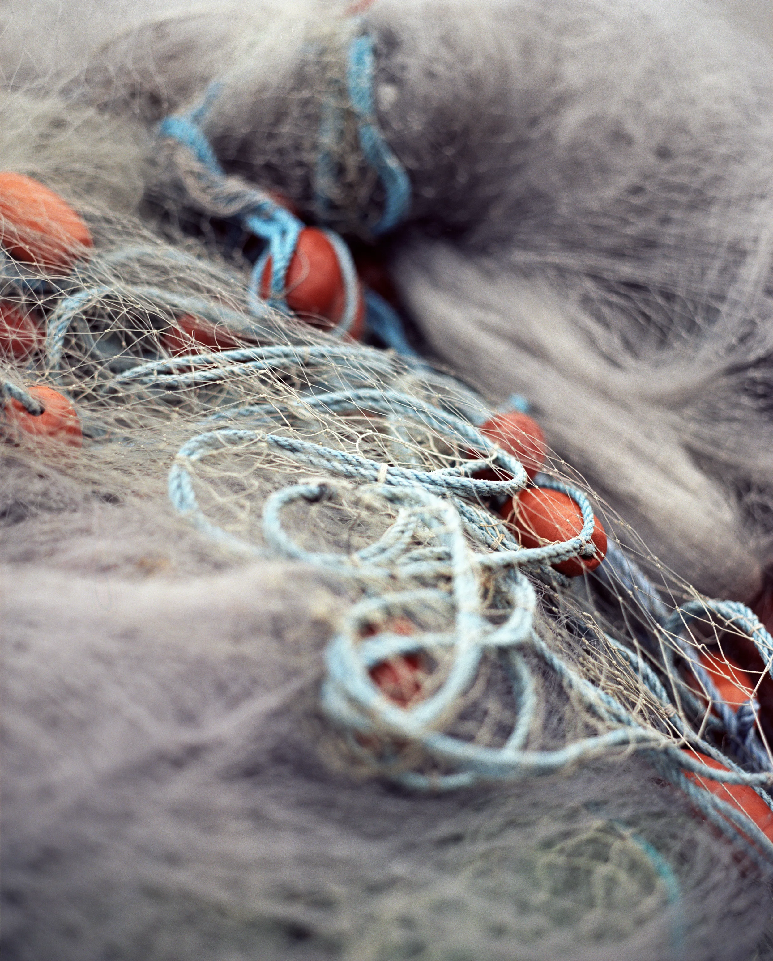 Oysters in Bohuslän | Editorial for Grip Magazine