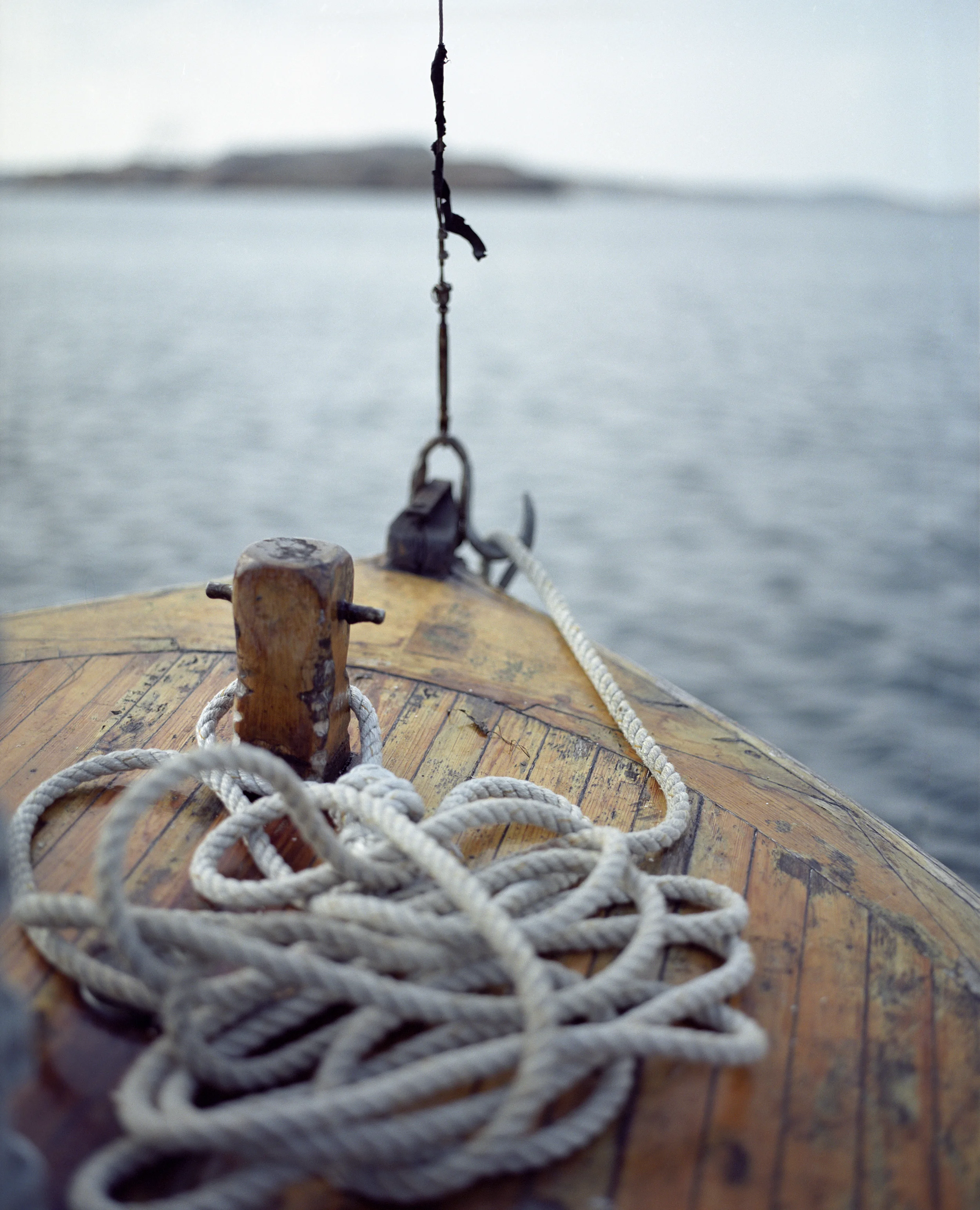 Oysters in Bohuslän | Editorial for Grip Magazine