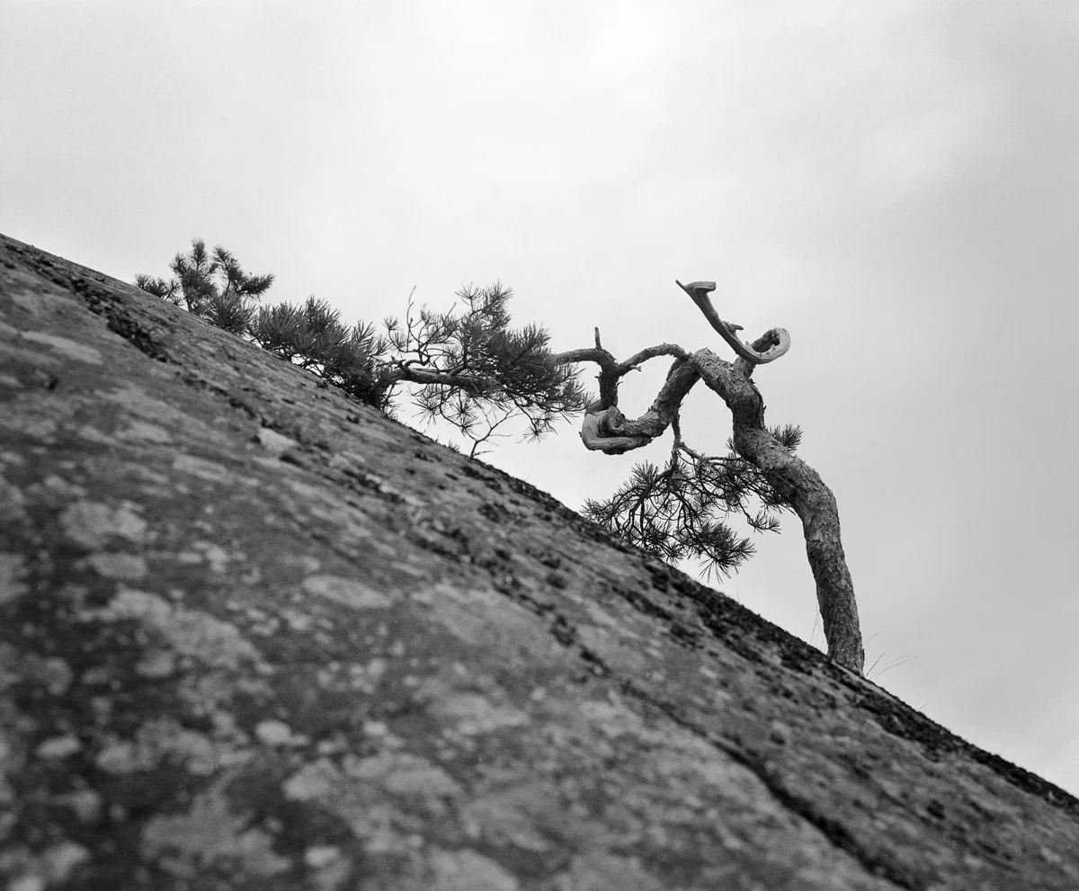 Rädda Östersjön | WWF