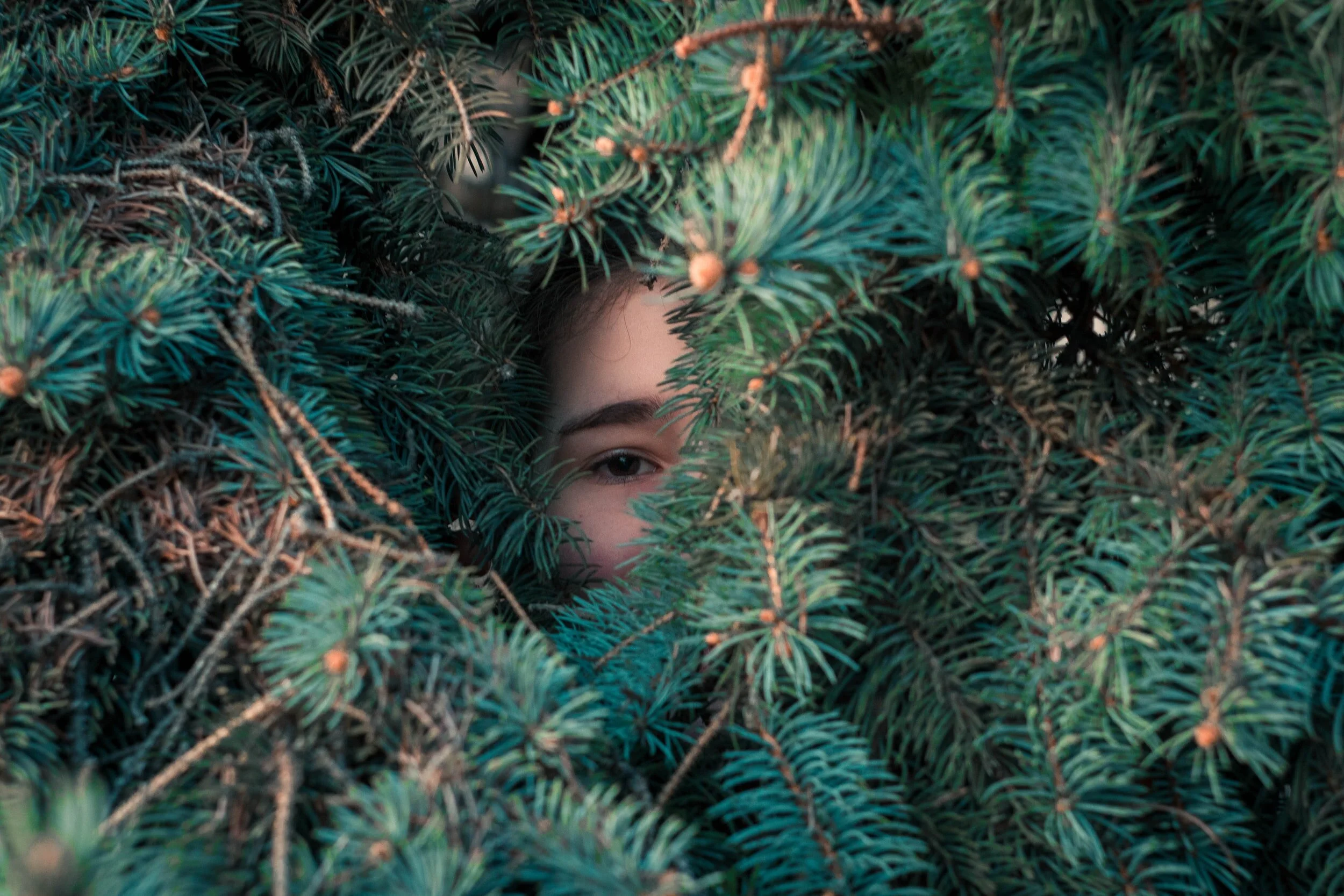 Christmas In The Time of Covid