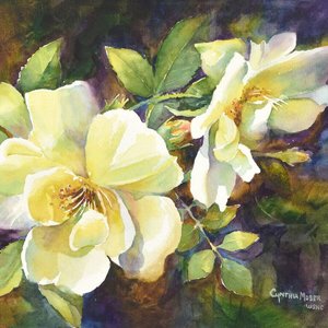 CYNTHIA MOSER Old Fashion Rose