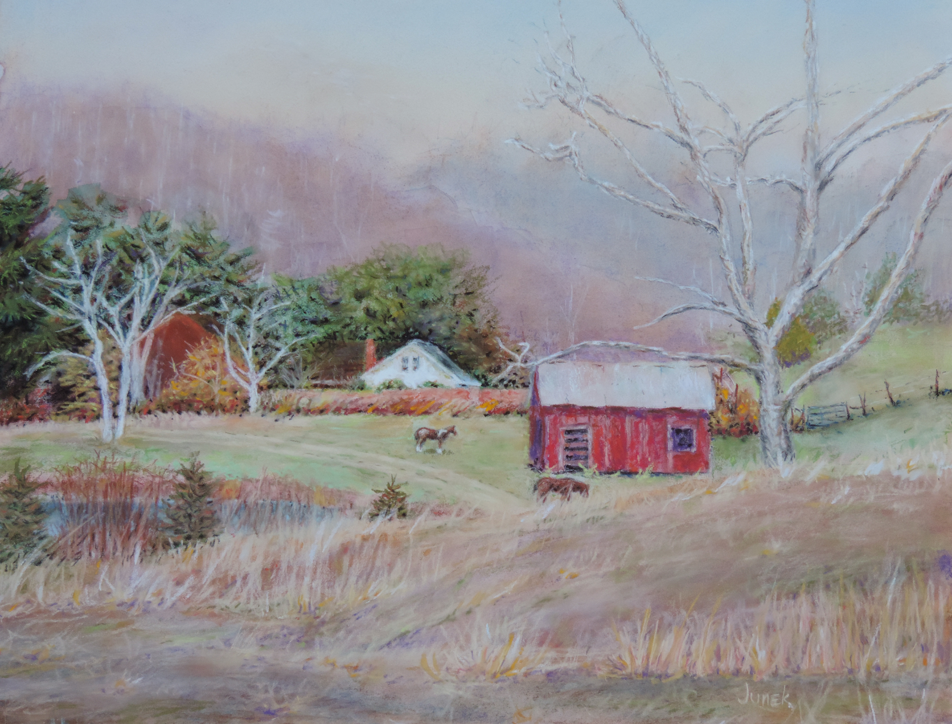 red shed