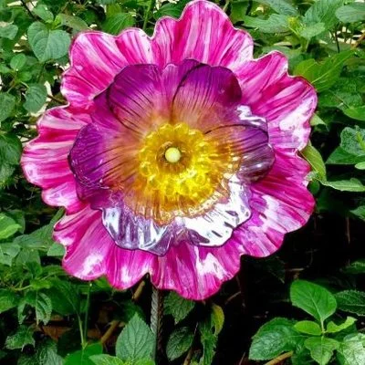 Michele Eigler