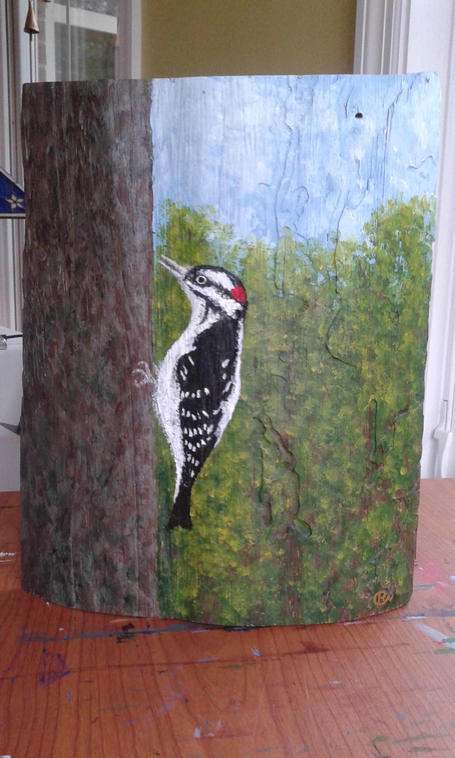 HAIRY WOODPECKER