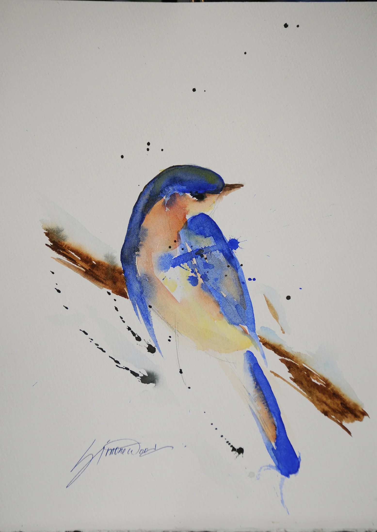 bluebird