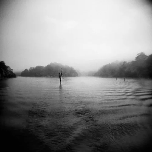 SUZANNE CAMARATA Photography