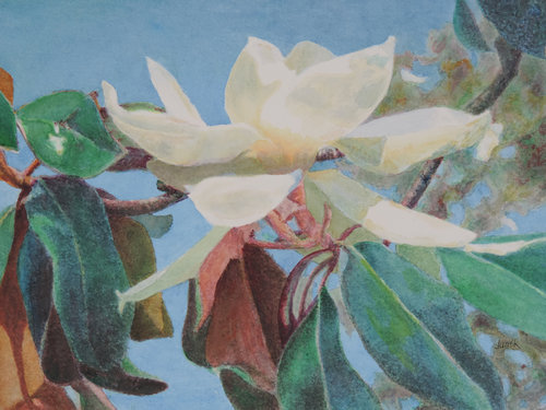 AL JUNEK Watercolor/Pastel/Pencil