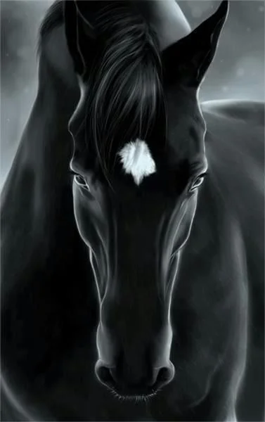 cheval.jpg