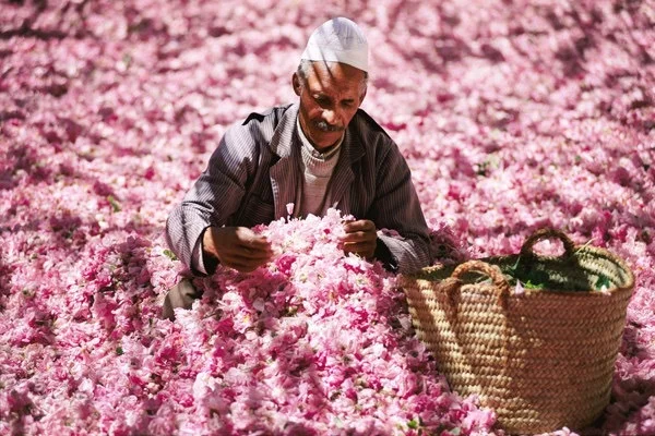 vallee des roses1.jpg