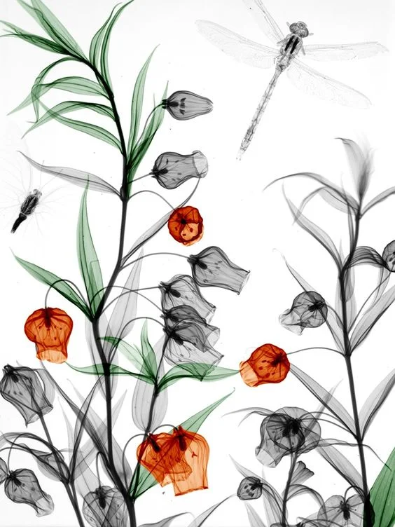 fleurs7.jpg