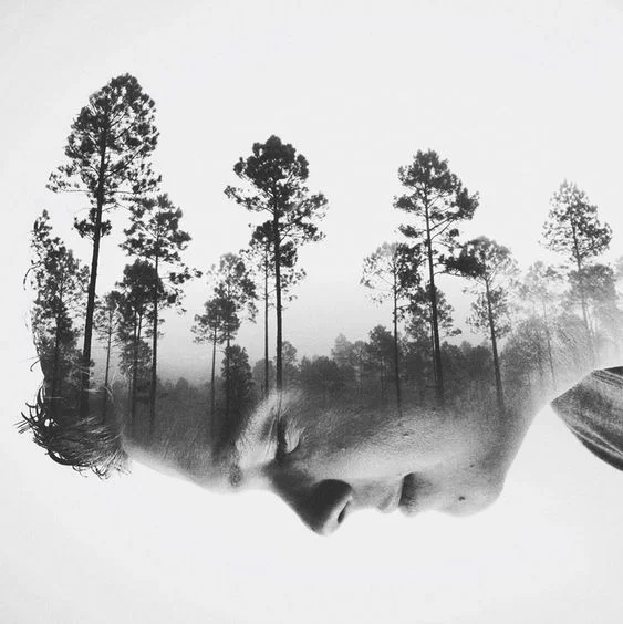 channeling guidance septembre 2018 virginie lascension.jpg