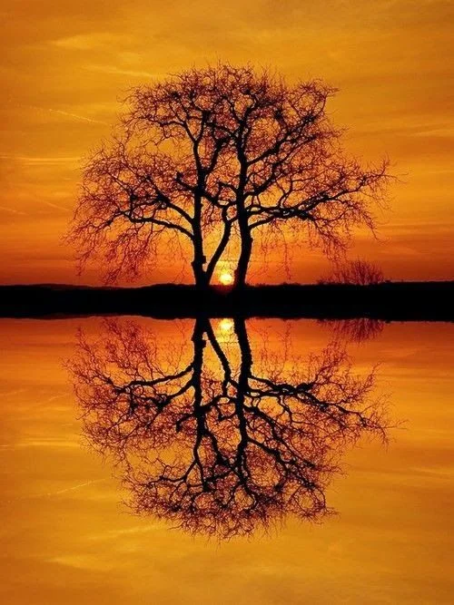 guidance channeling clairvoyance novembre virginie lascension.jpg