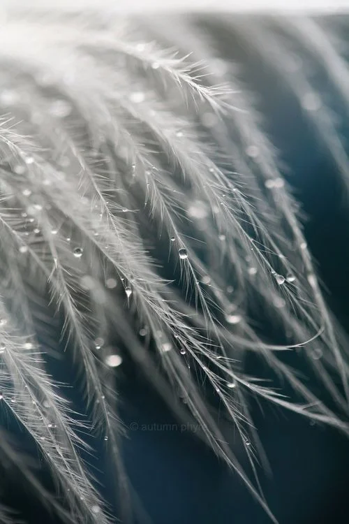 stage ailes anges kether.jpg