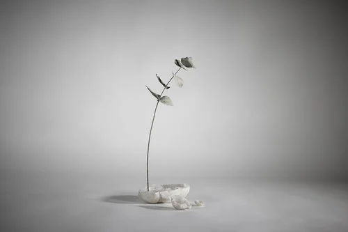 Fleur de Quartz, Stéphane Guiran. Tous droits réservés.