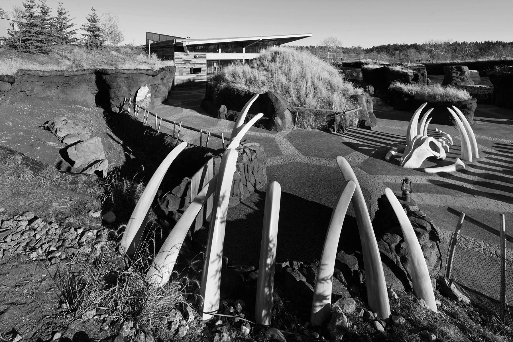 2012_093_Arctic_Shores-2684-b&w.jpg