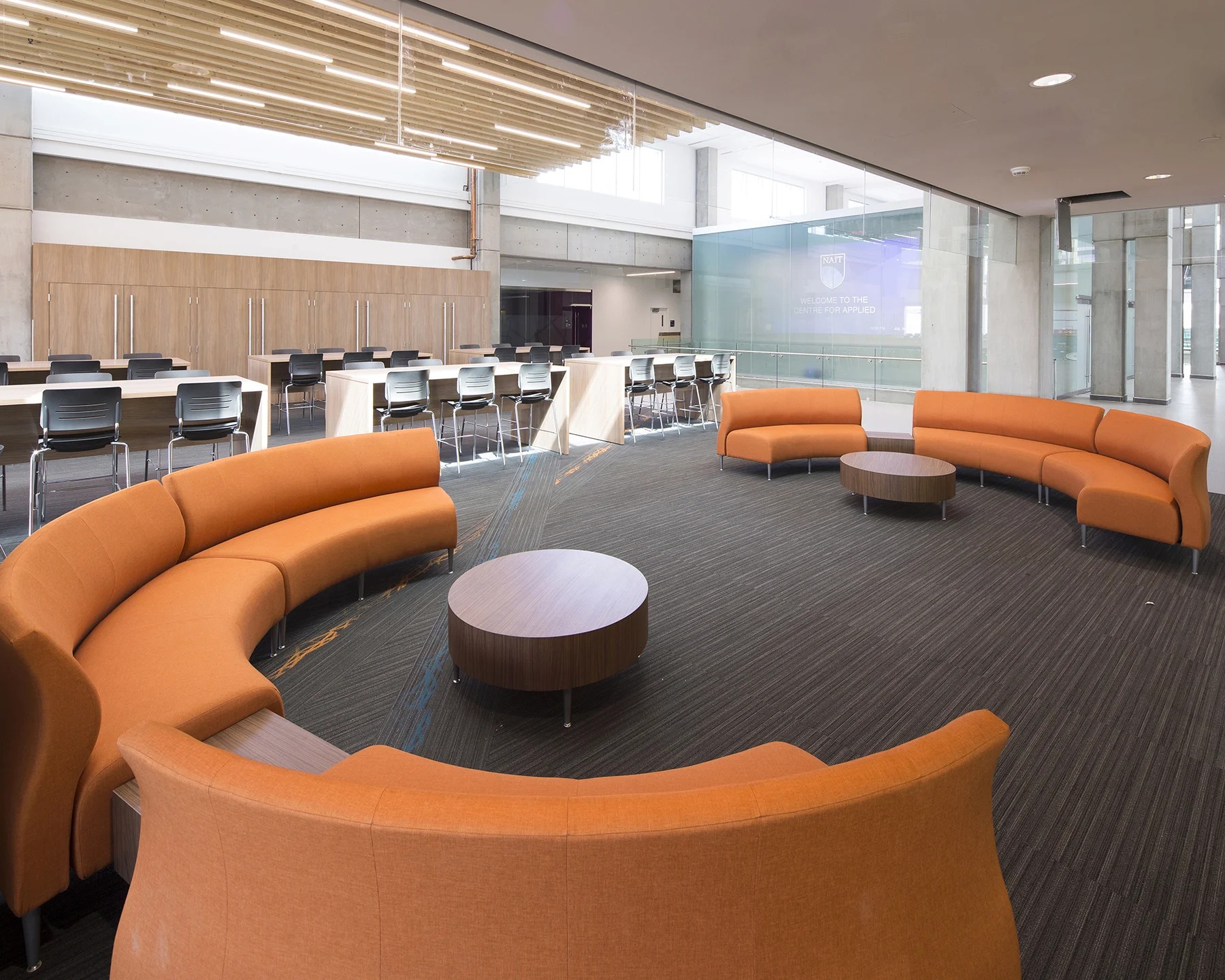 2016_034_NAIT_CAT-2095.jpg
