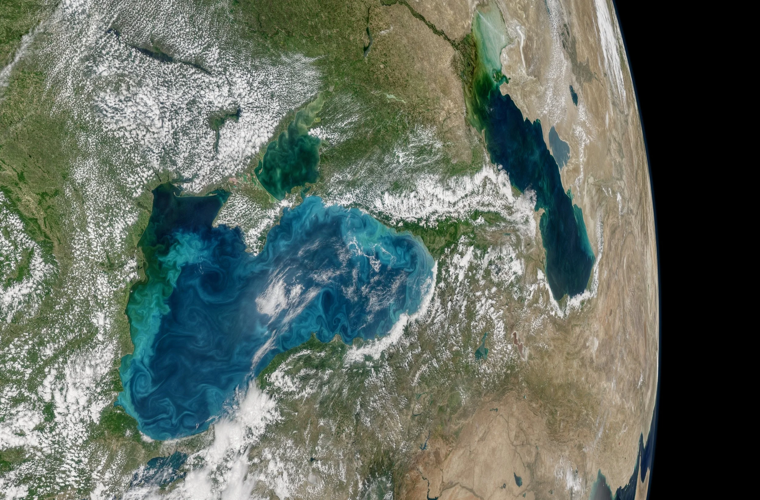 Little things, big systems. Those bright blue swirls are tiny phytoplankton, the bottom of the oceans food chain, seen from space. Norman Kuring, NASA