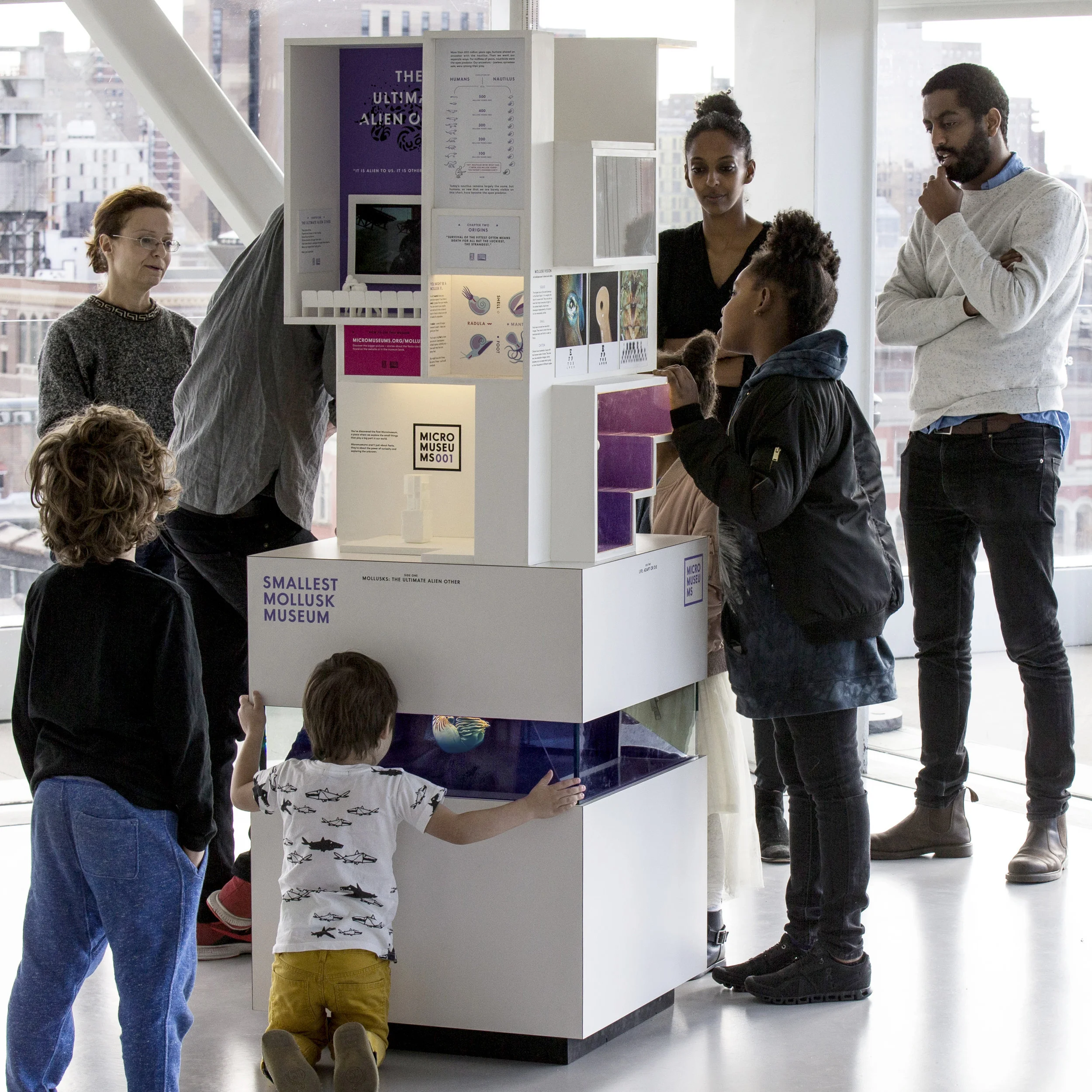 TOUR THE SMALLEST MOLLUSK MUSEUM