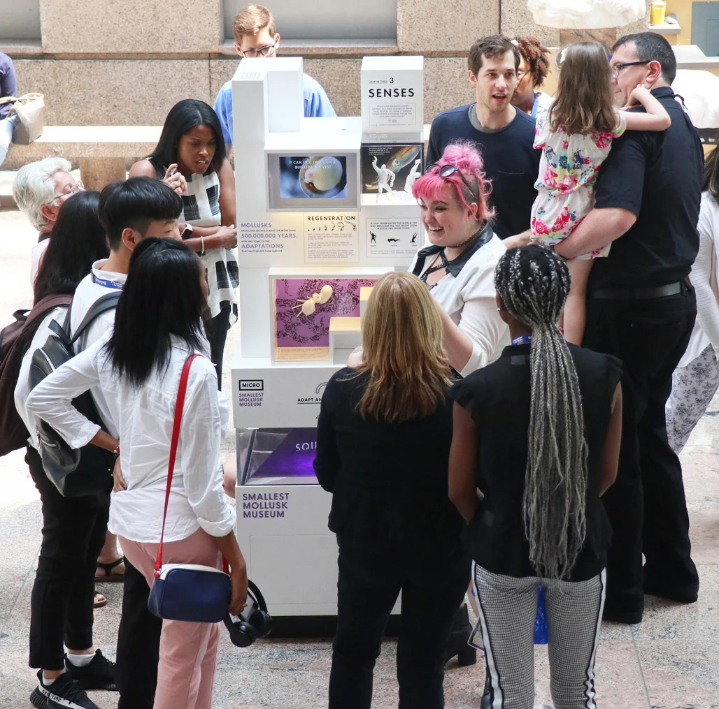 5)MolluskMicroMuseum-Bellevue_CC.jpg