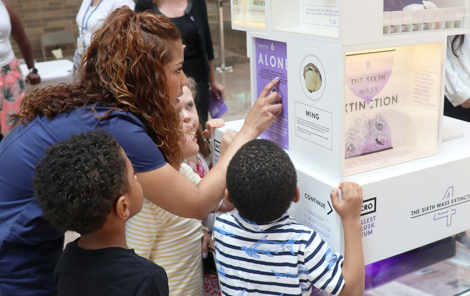 3)MolluskMicroMuseum-Bellevue_CC.jpg