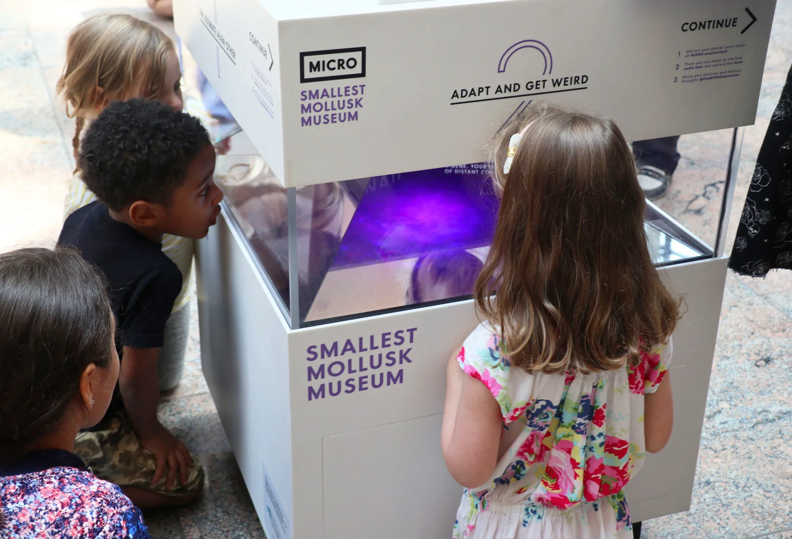 MICRO's Smallest Mollusk Museum_3_Credit Ricardo Monge.jpg