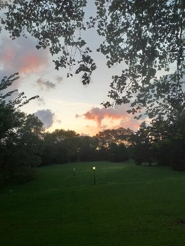 Central Park August 19. 2019