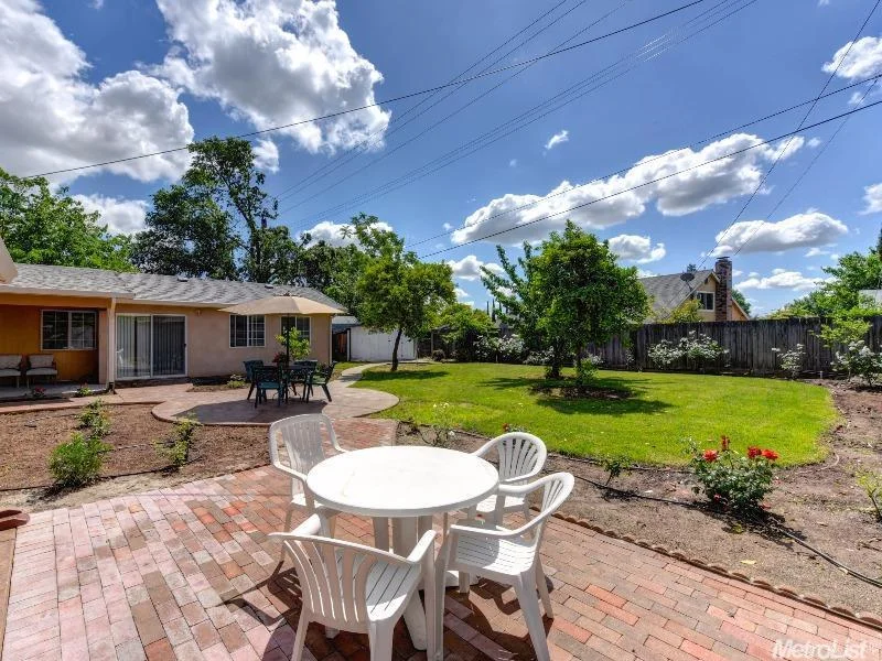 back yard .jpg